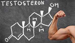 Increasing testosterone in men
